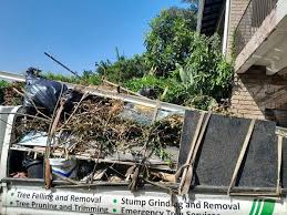 Best Retail Junk Removal  in Orlinda, TN