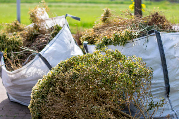 Best Residential Junk Removal  in Orlinda, TN