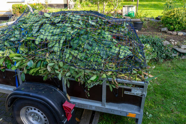 Best Shed Removal  in Orlinda, TN